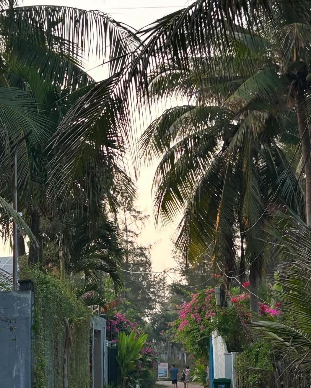 Seaside An Bang Homestay Hoi An Eksteriør bilde