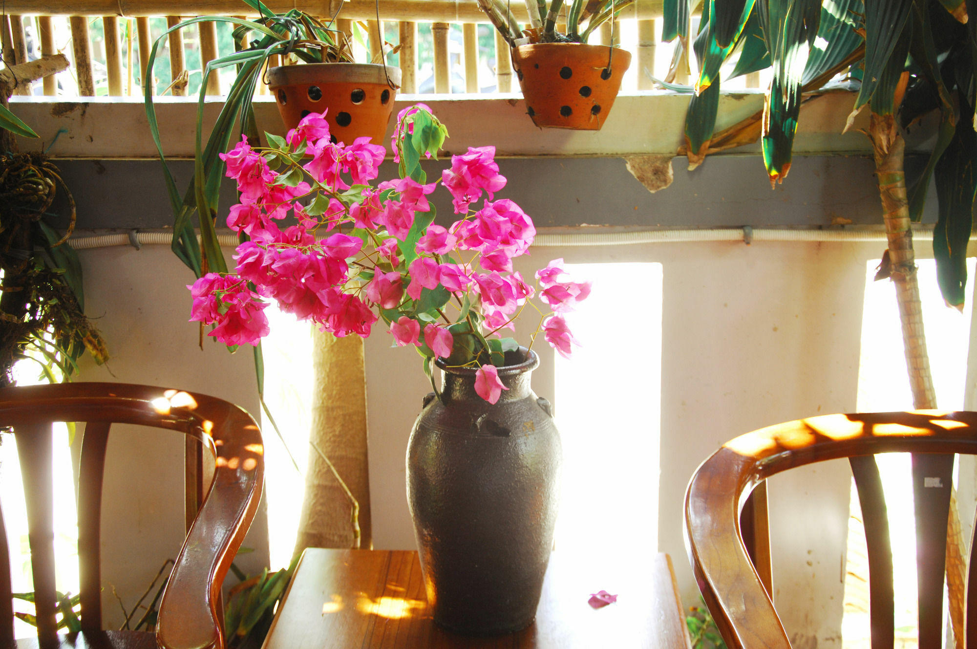 Seaside An Bang Homestay Hoi An Eksteriør bilde